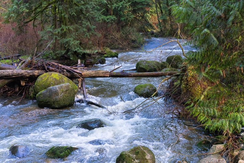 stream-landscape-in-british-columbia-canada.jpg